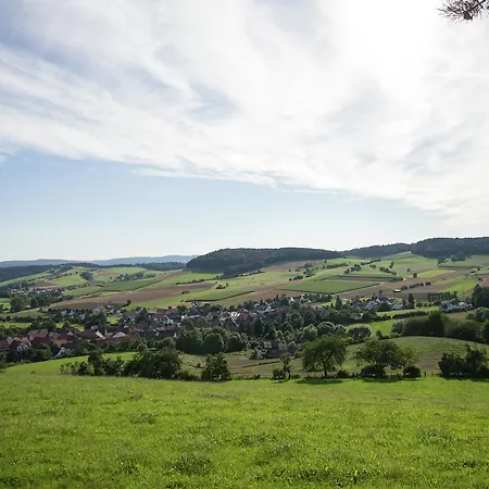 Spacious With Garden Near Forest In