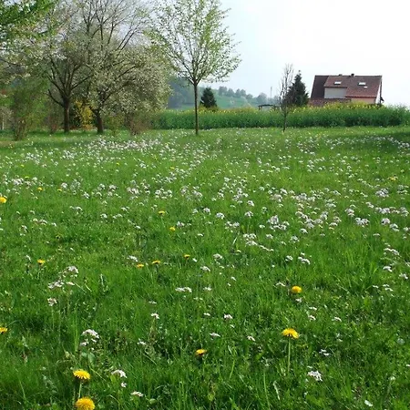 Spacious With Garden Near Forest In Lejlighed Obergude