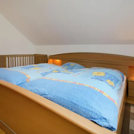 Spacious With Garden Near Forest In *